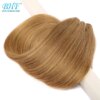 meche bresilienne naturelles Remy lisses à reflets, ombré blond miel