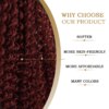 Perruque Bourgogne Kinky Curly Lace Front Perruques Synthétique Moyen