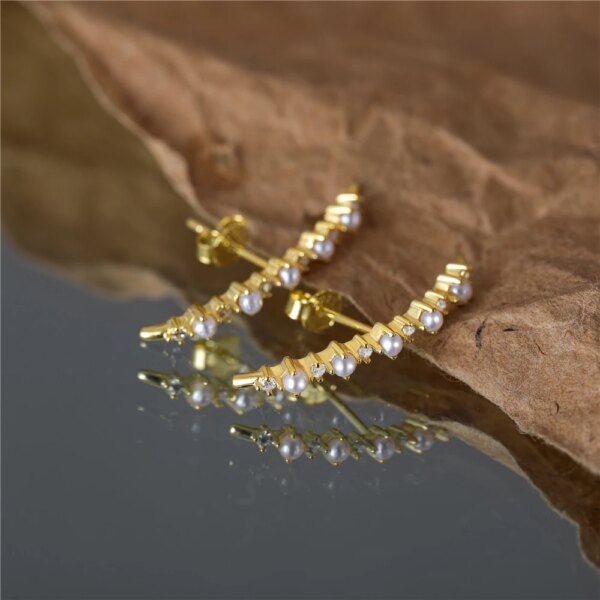 69310-d2b1c2.jpg boucle d oreille grimpante Aide – boucles d'oreilles en argent Sterling 925 pour femmes