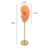 porte boucle d oreille Présentoirs de Boucles d'Oreilles Durables en Silicone Souple