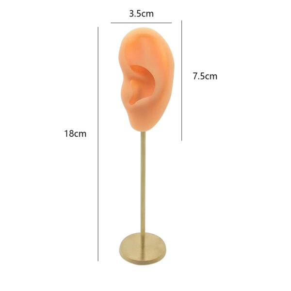 porte boucle d oreille Présentoirs de Boucles d'Oreilles Durables en Silicone Souple