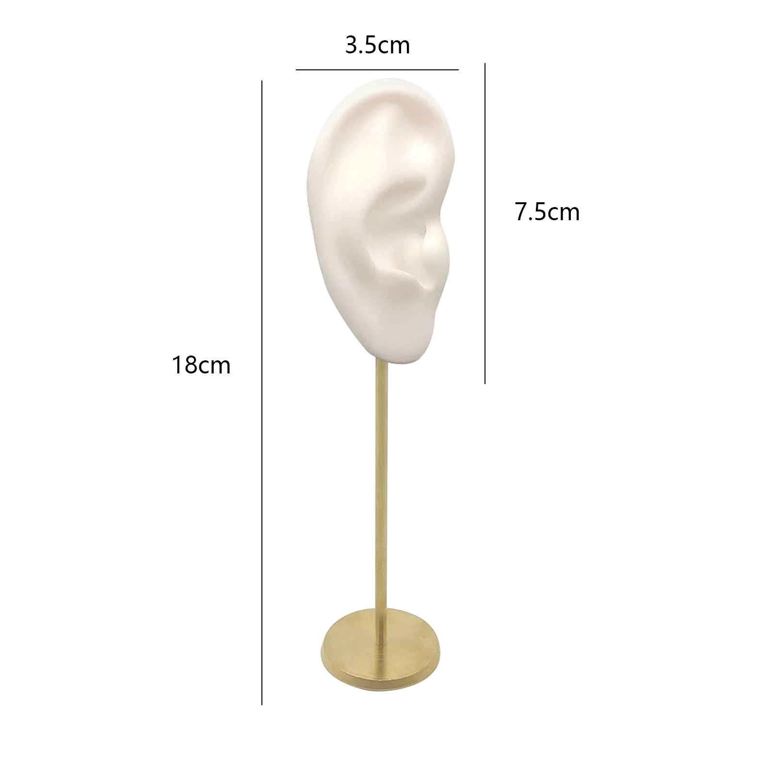 Right Ear White B