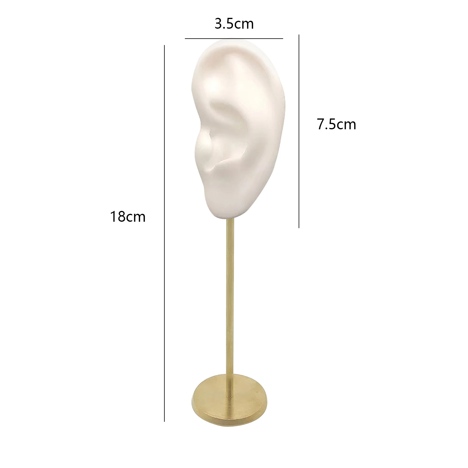 Left Ear White B