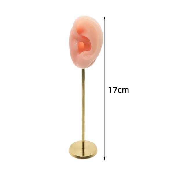 porte boucle d oreille Présentoirs de Boucles d'Oreilles Durables en Silicone Souple
