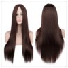perruque synthétique longue et lisse pour femmes, postiche de Cosplay naturel